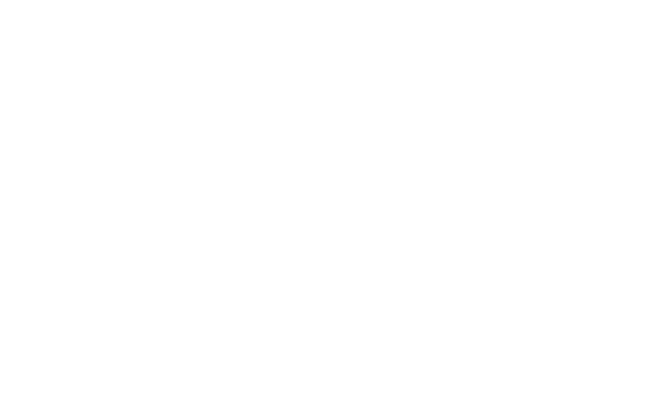 Bodenstein Bochmann & Partner Logo